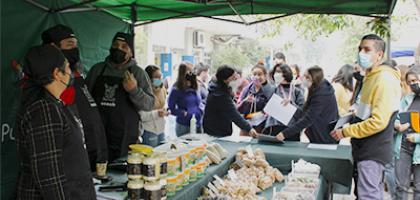 Foto que muestra los puntos saludables reinaugurados en la Usach